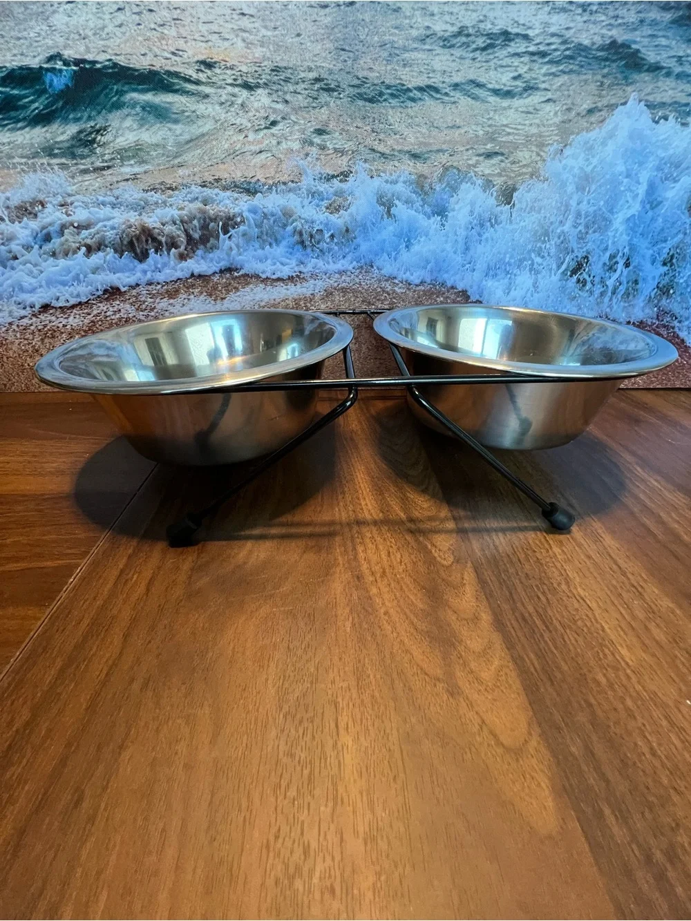Double Stainless Steel Pet Bowl Set with Black Elevated Stand